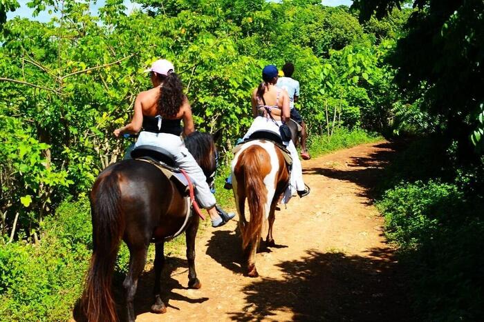 Jungle trail on horseback