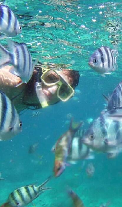 Snorkelling with tropical fish