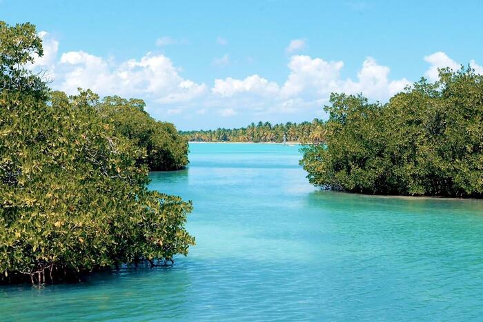 Samaná coastline