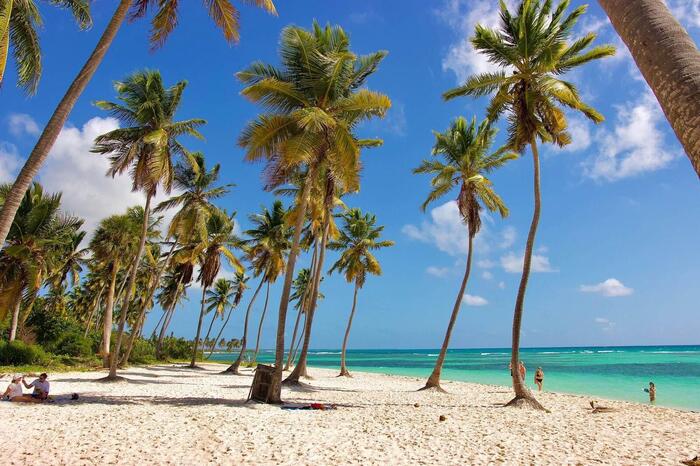 Isla Saona