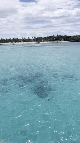 Video: arriving at Isla Catalina