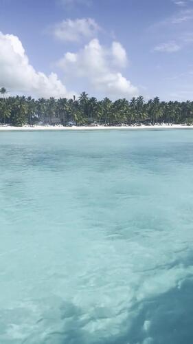 Video: the natural pool at Isla Saona
